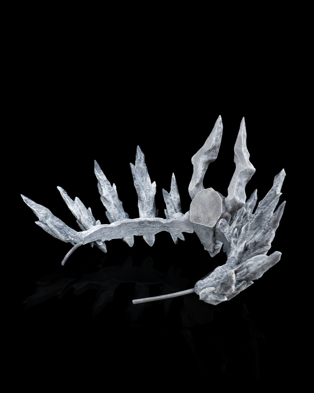 Dragon's Heir Crown