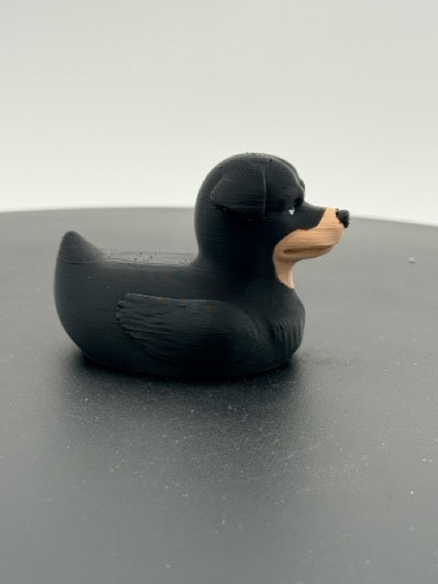 Rottweiler Duck