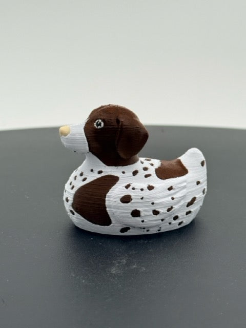 German Shorthaired Duck