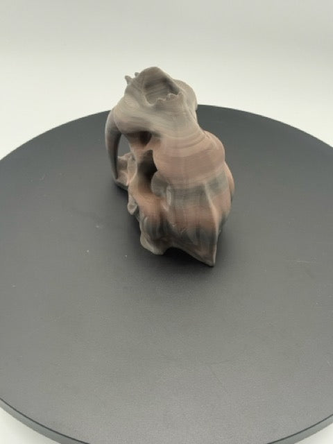 Sabertooth Skull