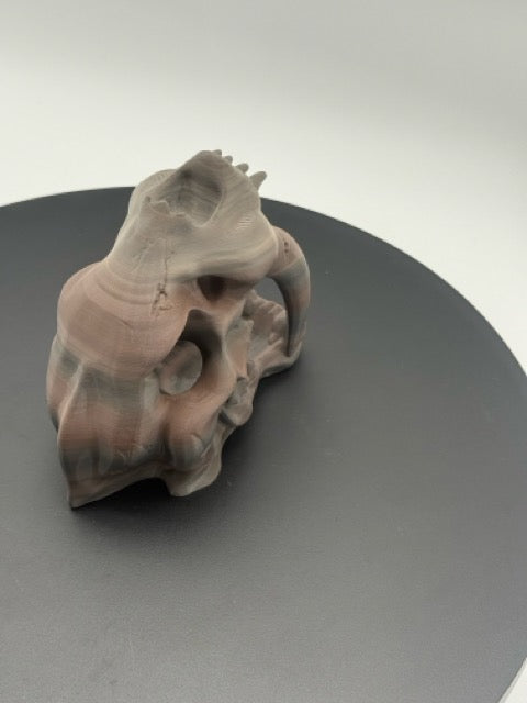 Sabertooth Skull