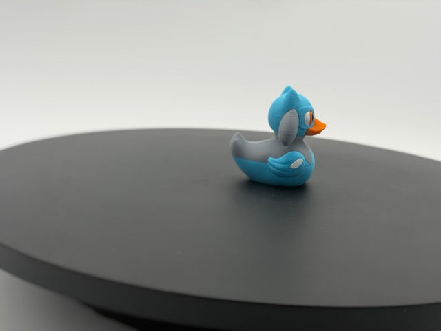 Aura Fighting Duck