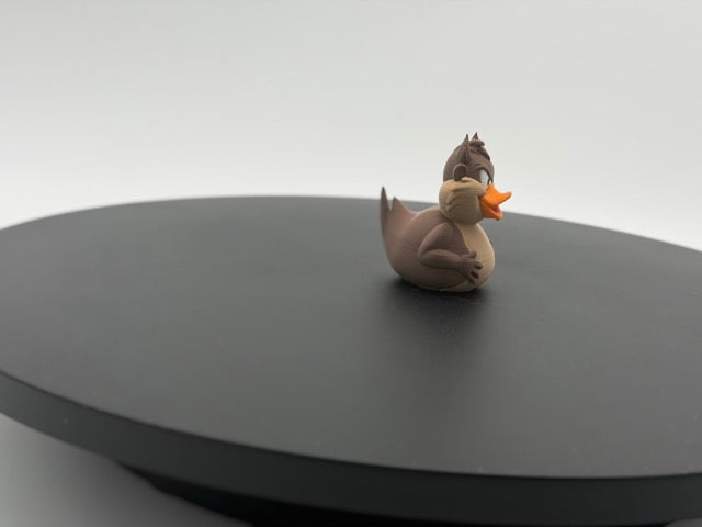 Tazmanian Duck
