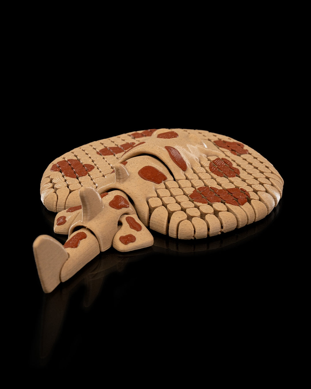 Lexy Electric Ray