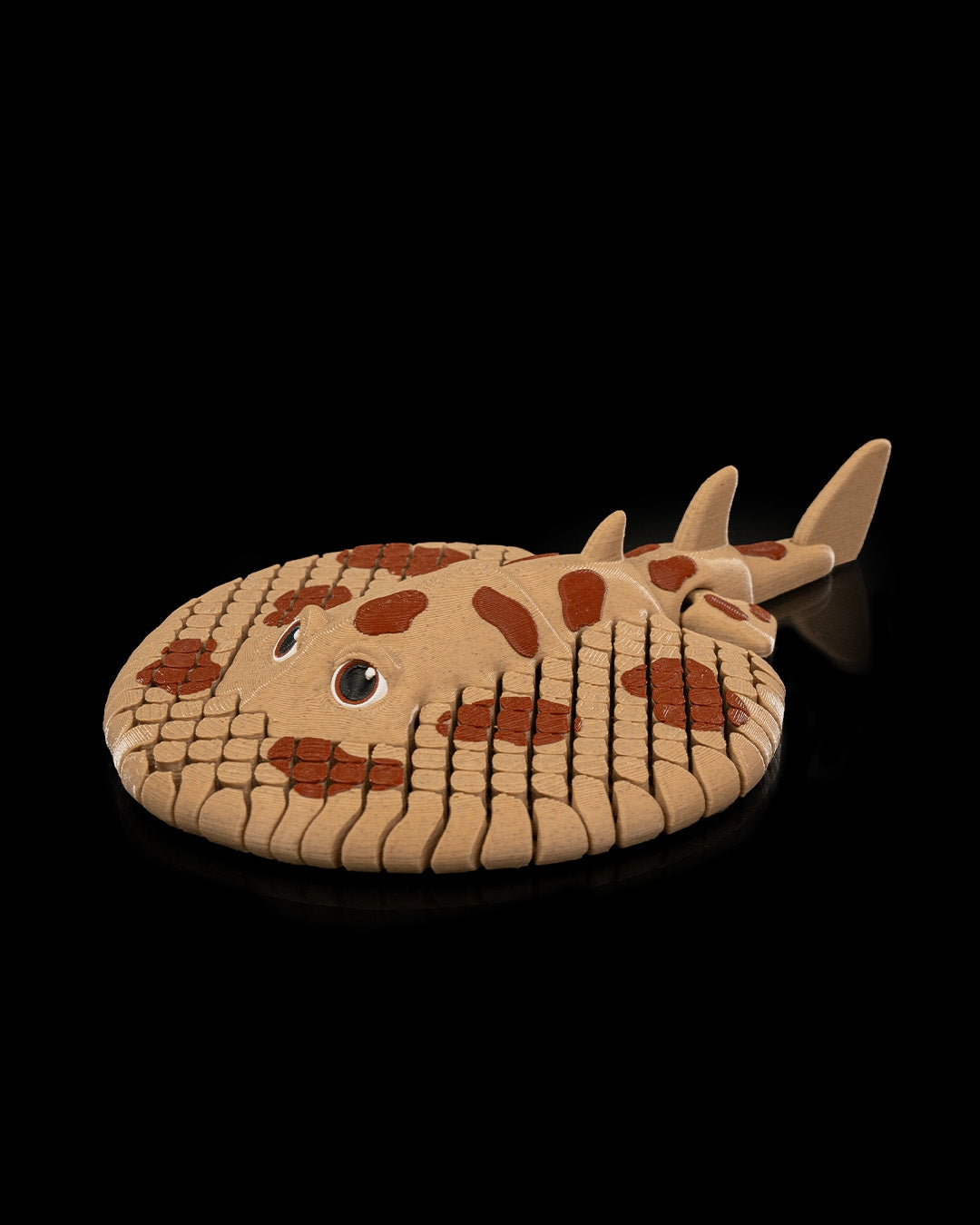Lexy Electric Ray