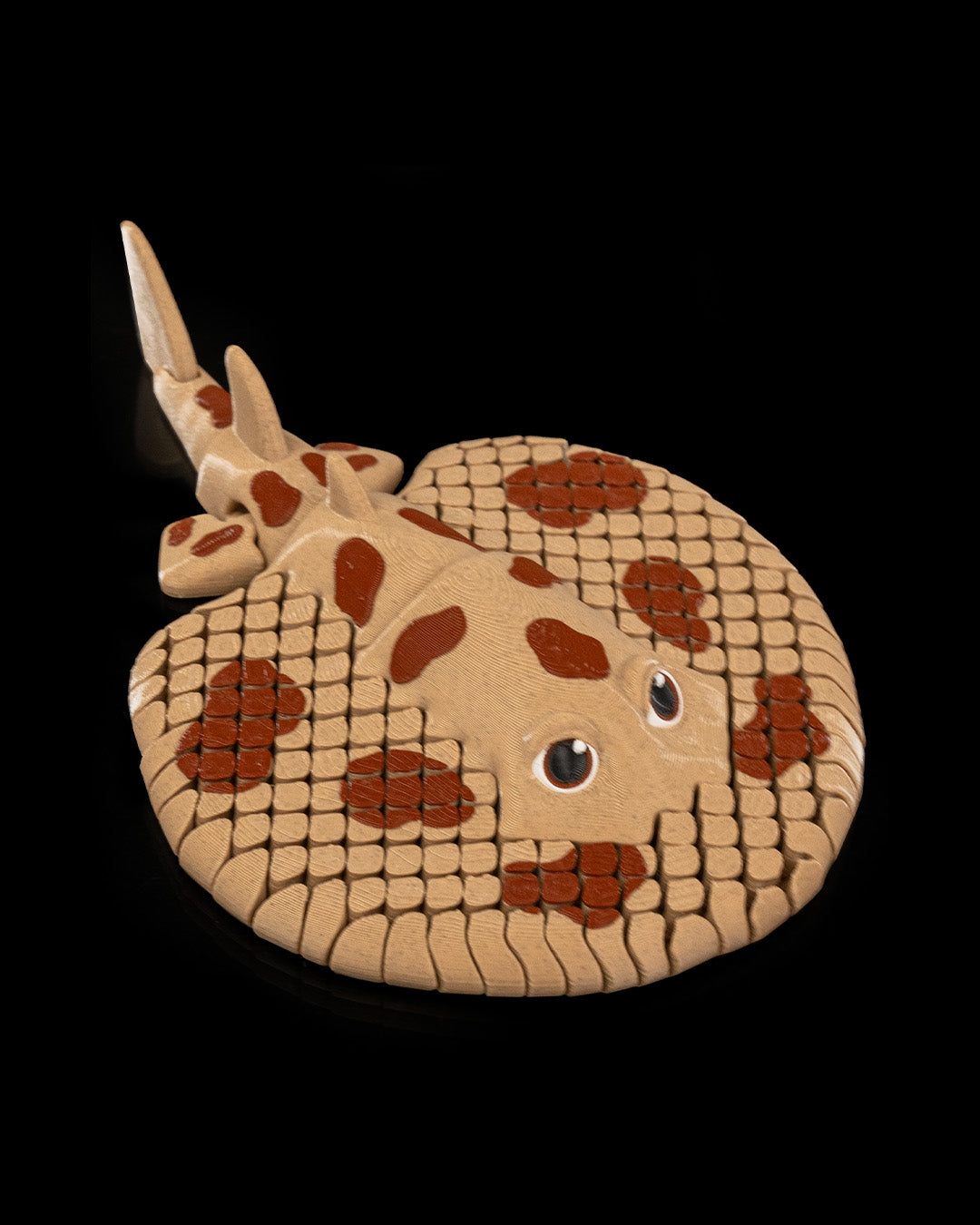 Lexy Electric Ray