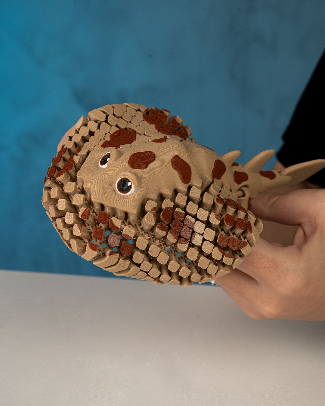 Lexy Electric Ray