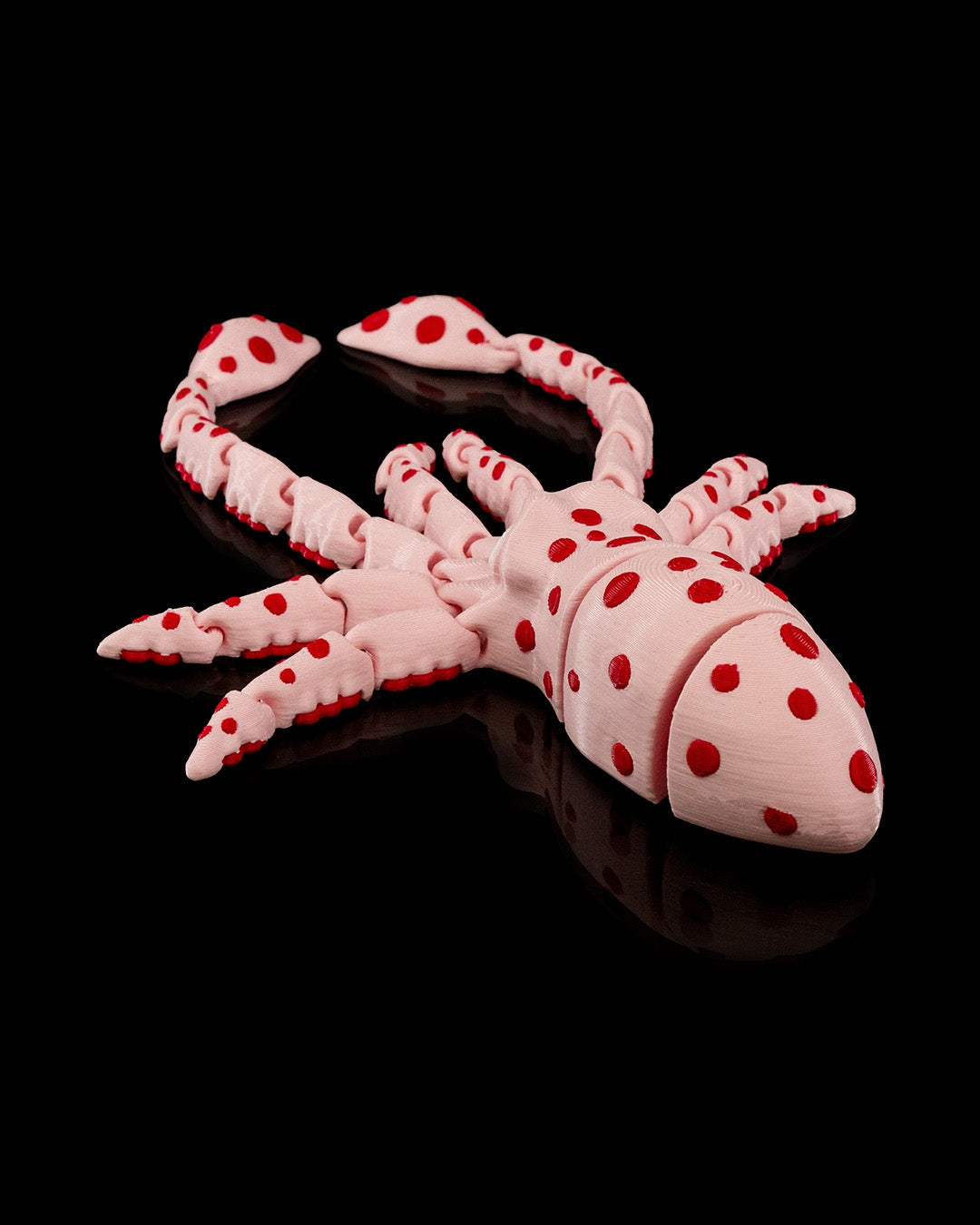 Sky the Squid
