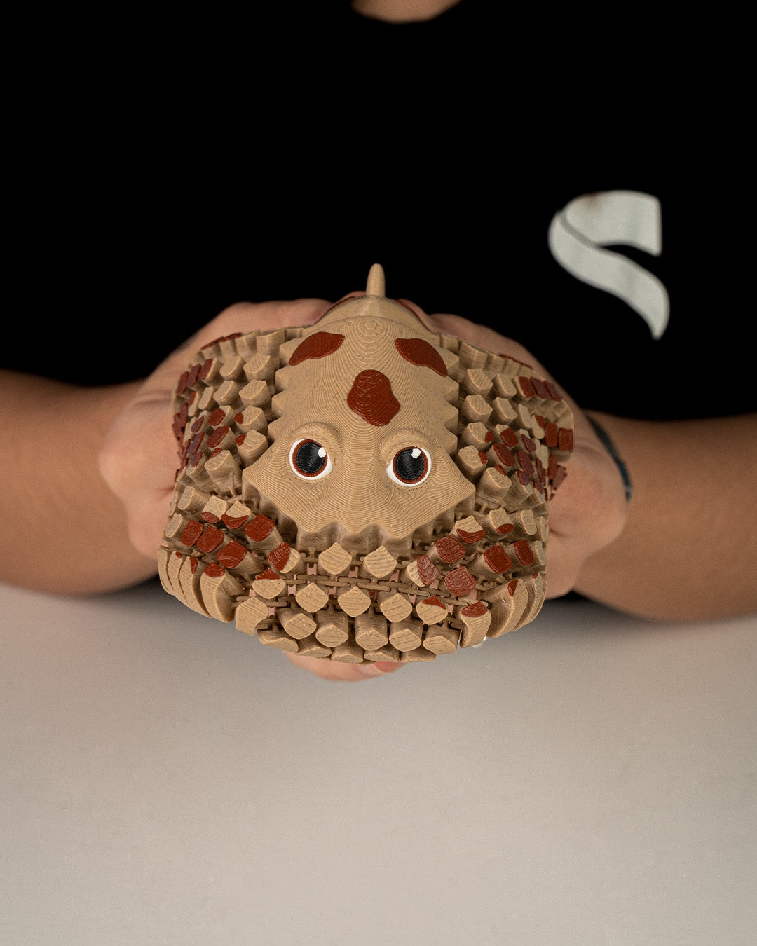 Lexy Electric Ray