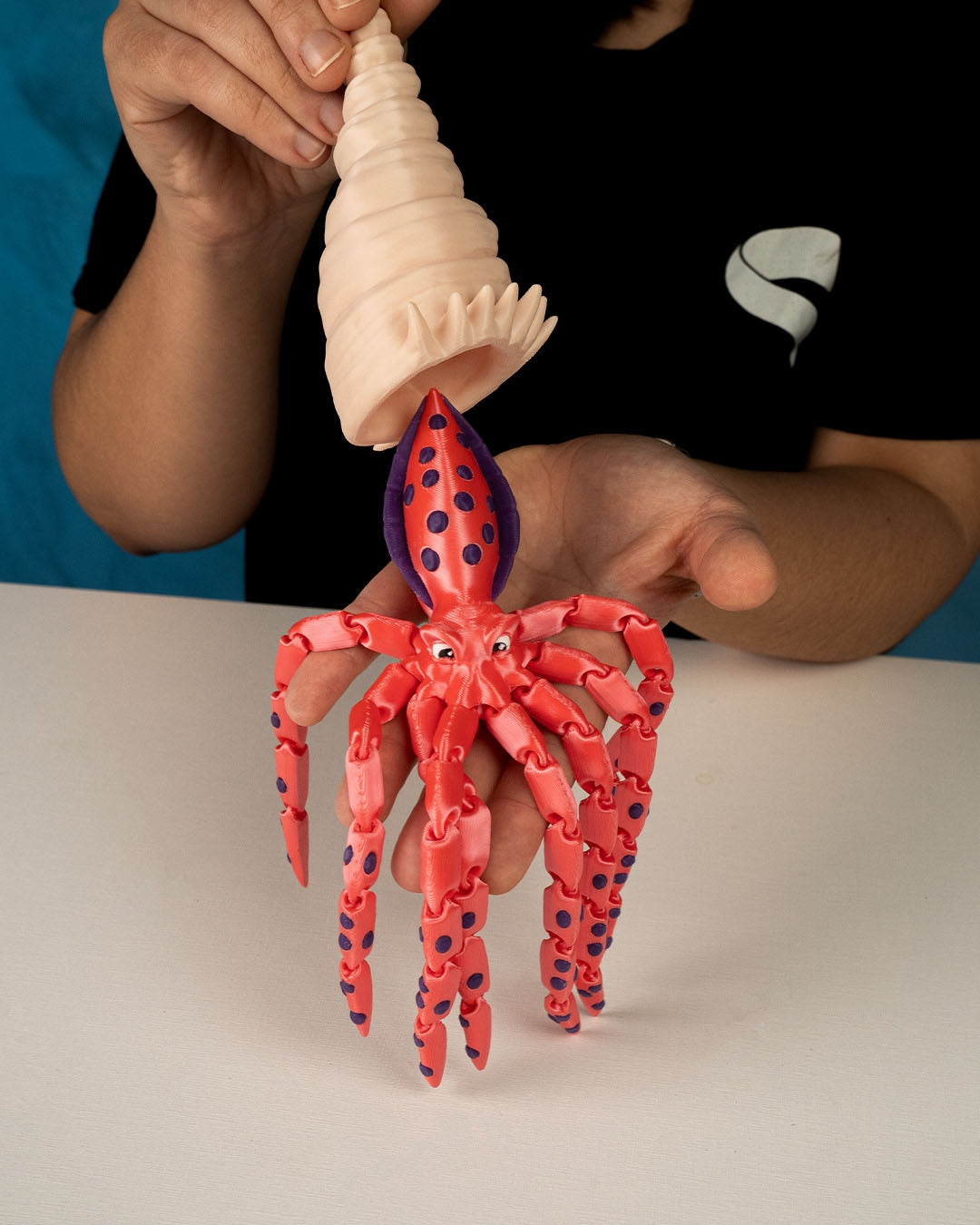 Finn the Bigfin Squid