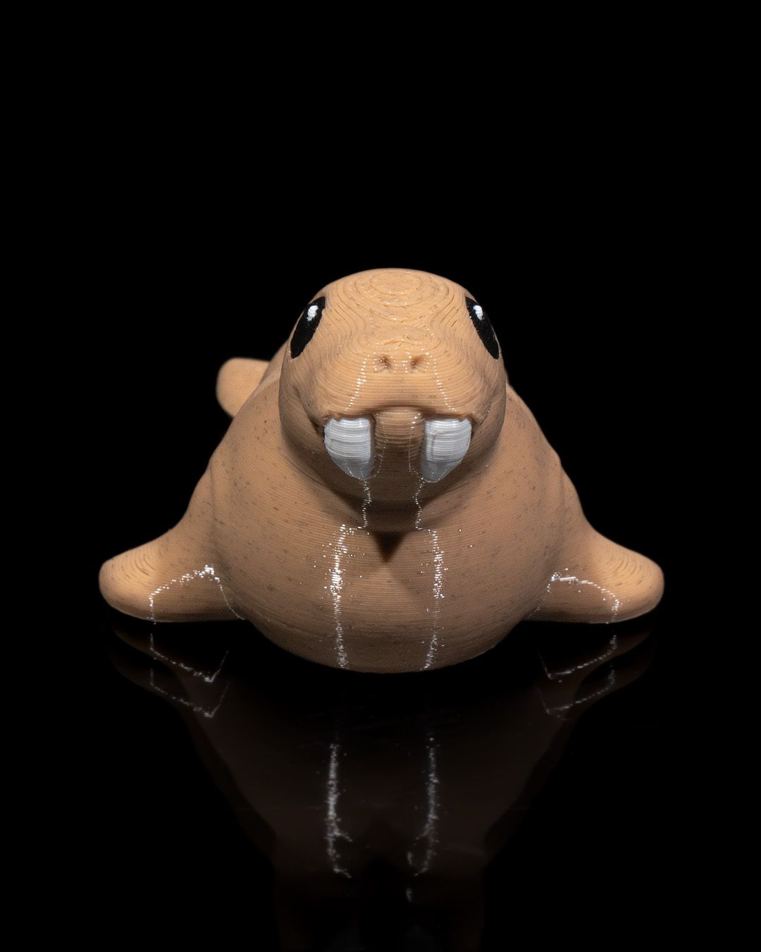Atlantic Walrus