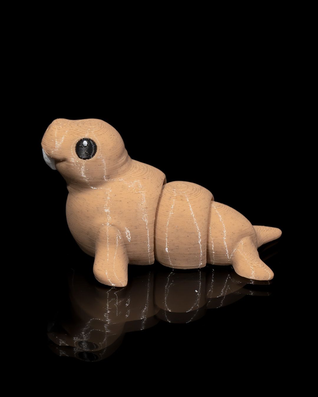 Atlantic Walrus