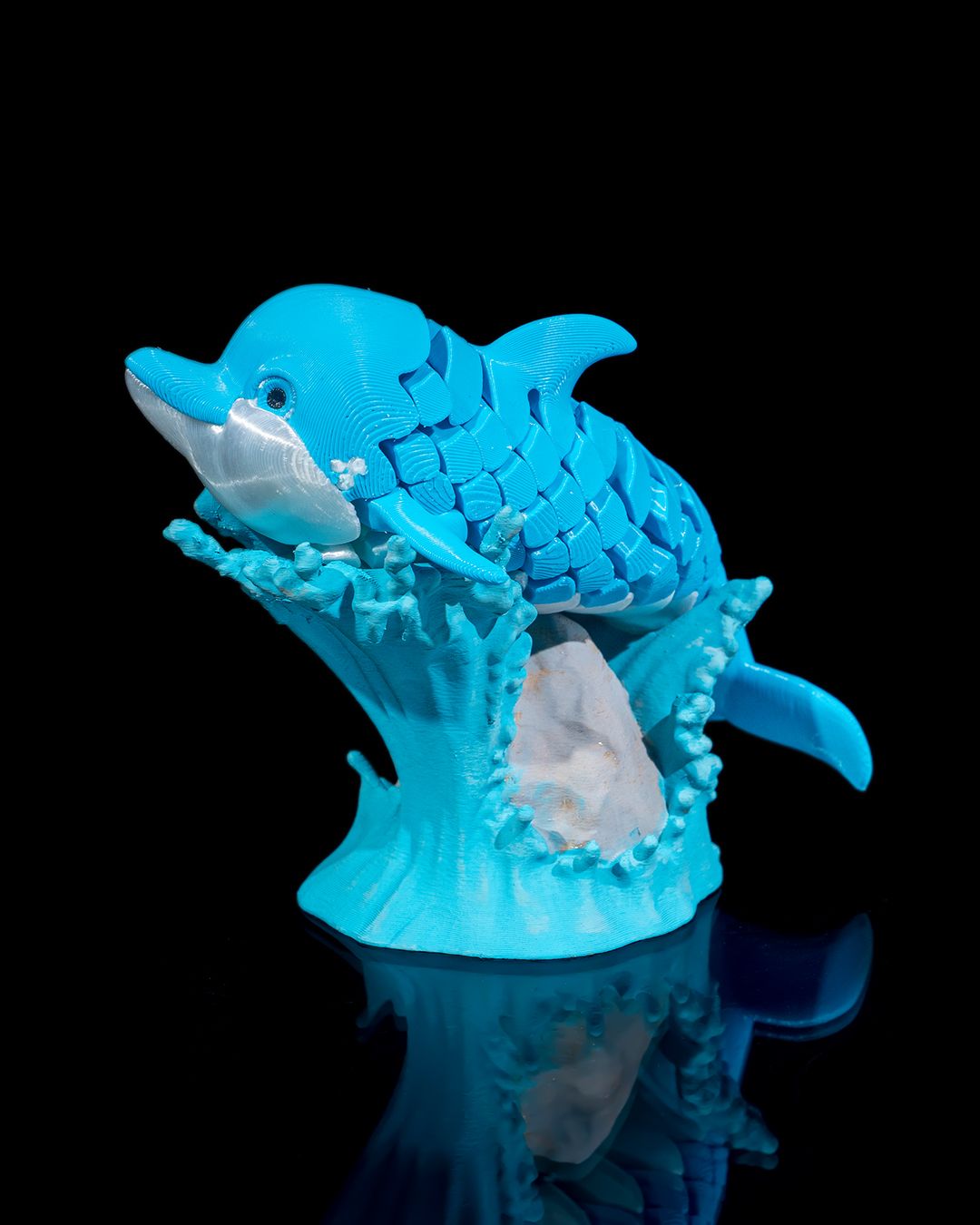 Dennis the Dolphin