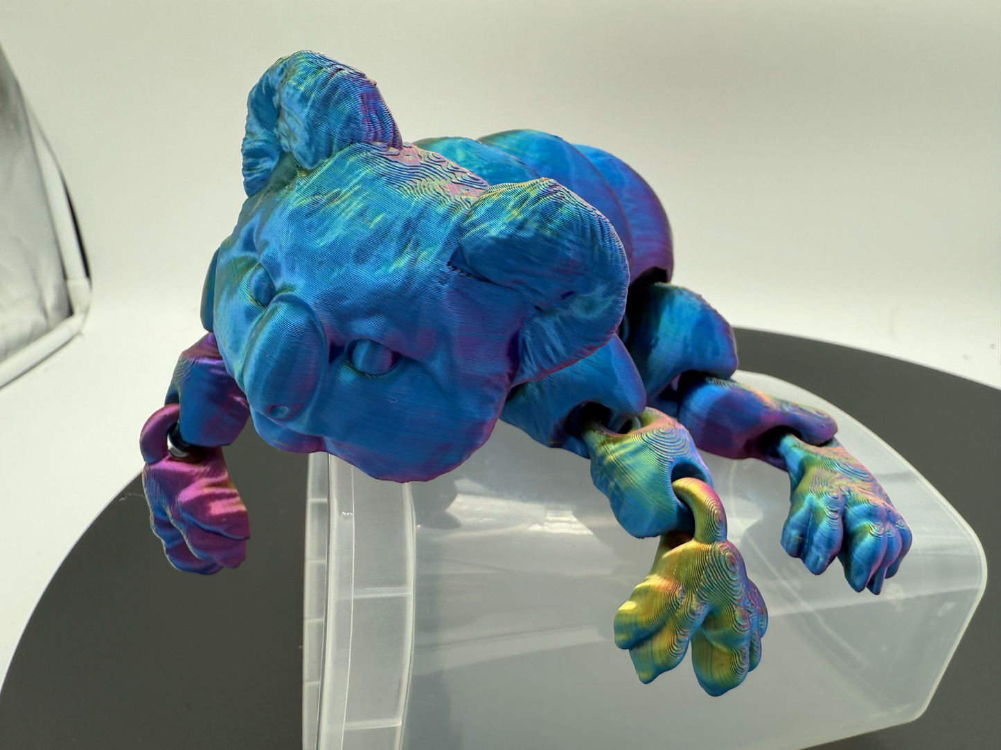 Flexi Koala