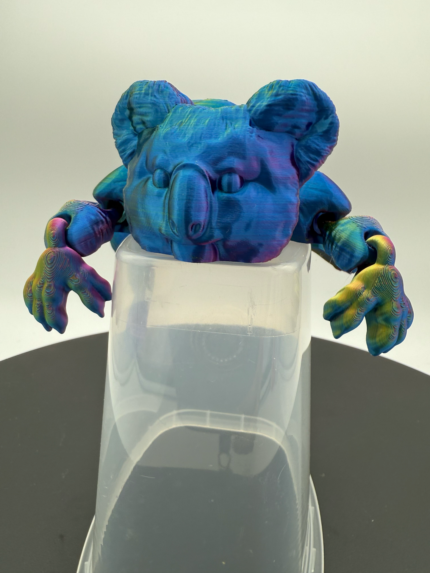 Flexi Koala