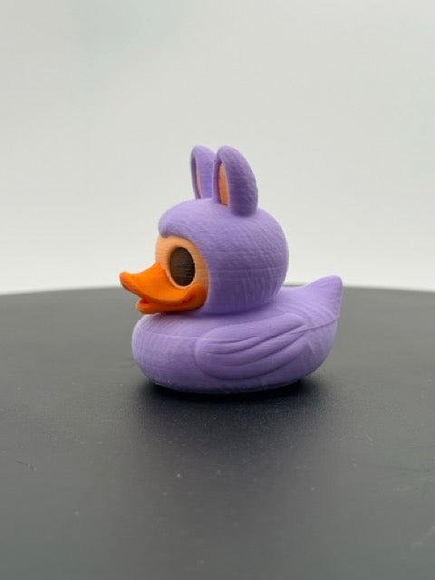 Labubu V Duck