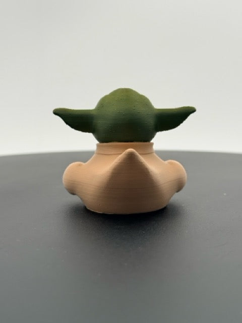 Wise Galactic Master Duck