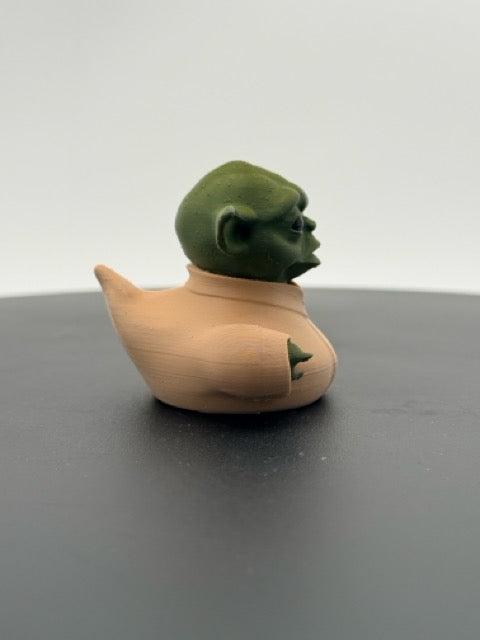 Wise Galactic Master Duck