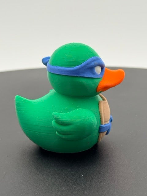 The Turtle Leader Duck – Blue Masked Martial Arts Hero