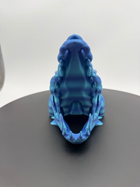 The Relic of the Draconic Void