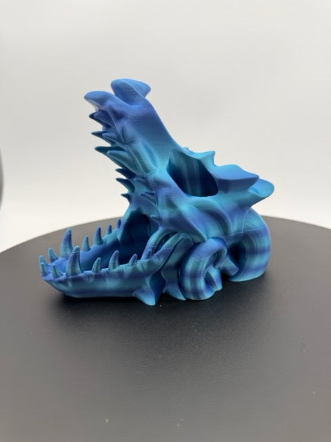 The Relic of the Draconic Void