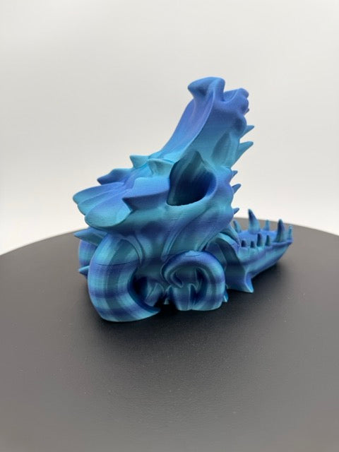 The Relic of the Draconic Void