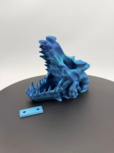 The Relic of the Draconic Void