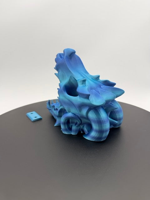 The Relic of the Draconic Void