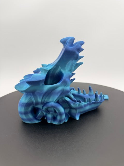 The Relic of the Draconic Void