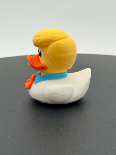 Ascot Mystery Leader Duck
