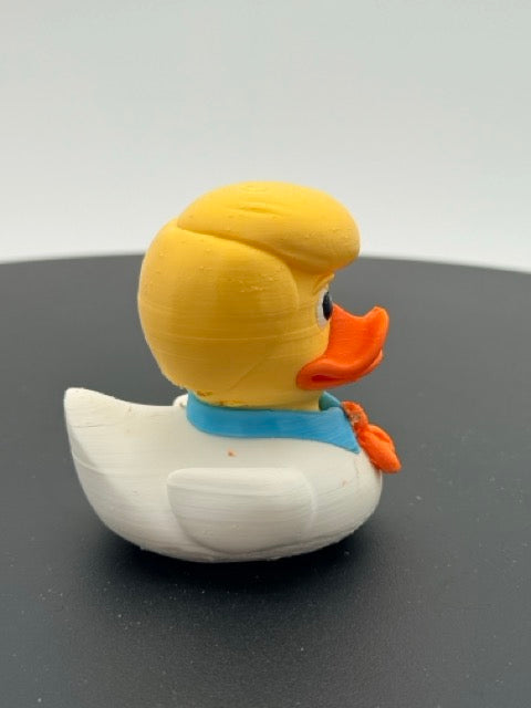 Ascot Mystery Leader Duck