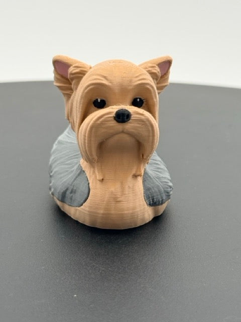 Yorkie Duck