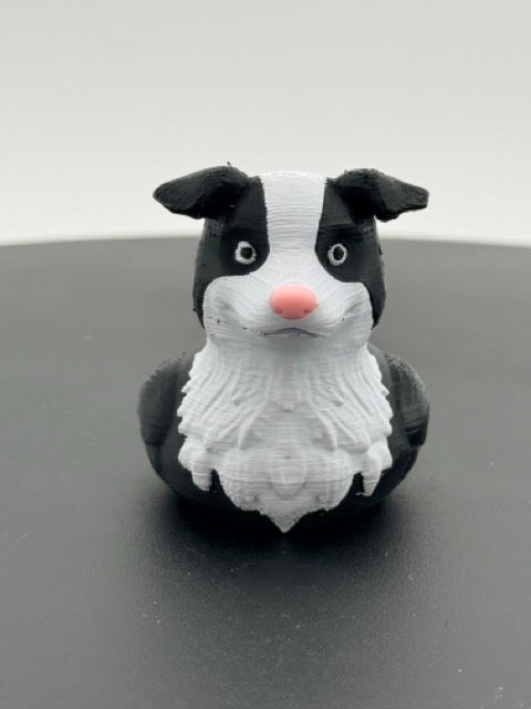 Border Collie Duck