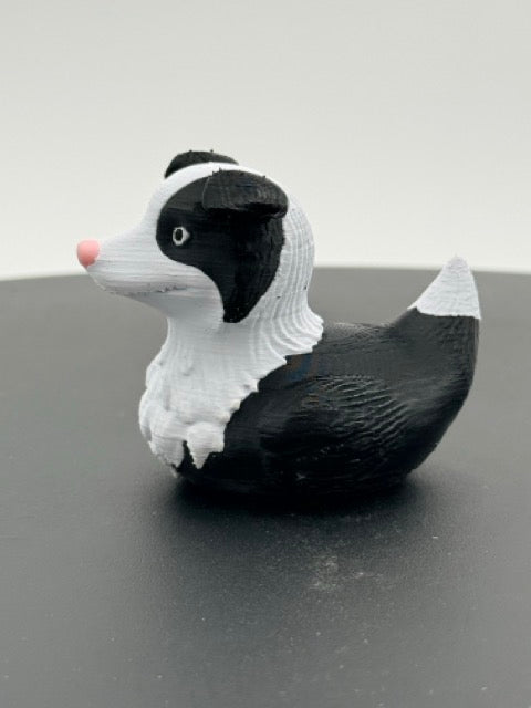 Border Collie Duck
