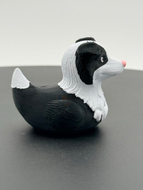 Border Collie Duck