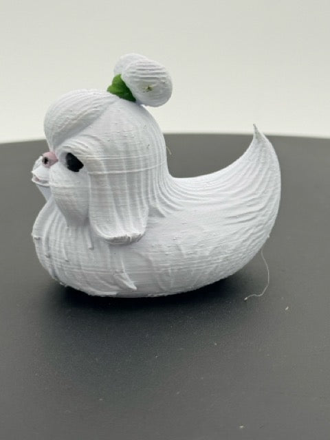Shih Tzu Duck