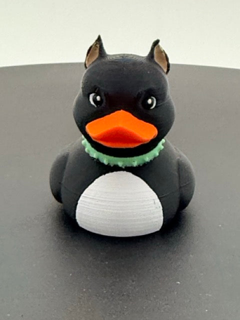 Pitbull Duck