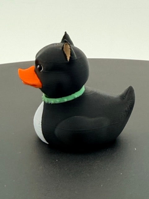 Pitbull Duck