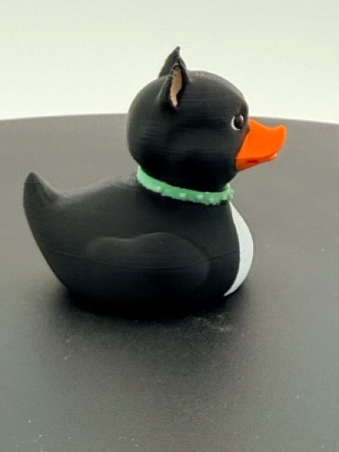 Pitbull Duck