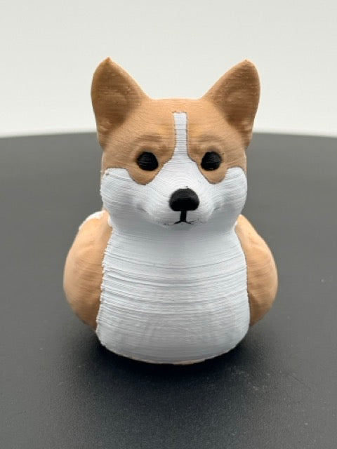 Corgi Duck