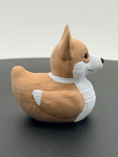 Corgi Duck