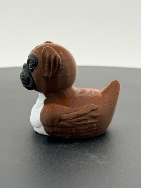 Boxer Duck