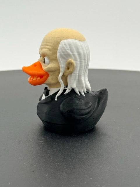 Ghoulish Crypt Guardian Dashboard Duck