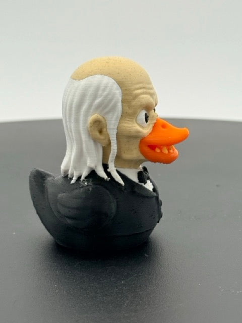 Ghoulish Crypt Guardian Dashboard Duck