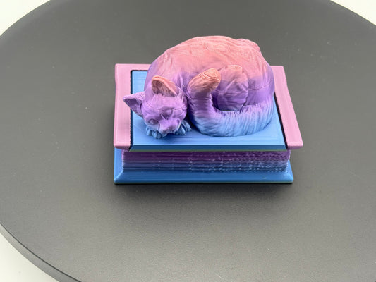 Cat Book Box