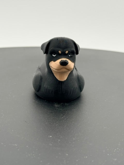 Rottweiler Duck