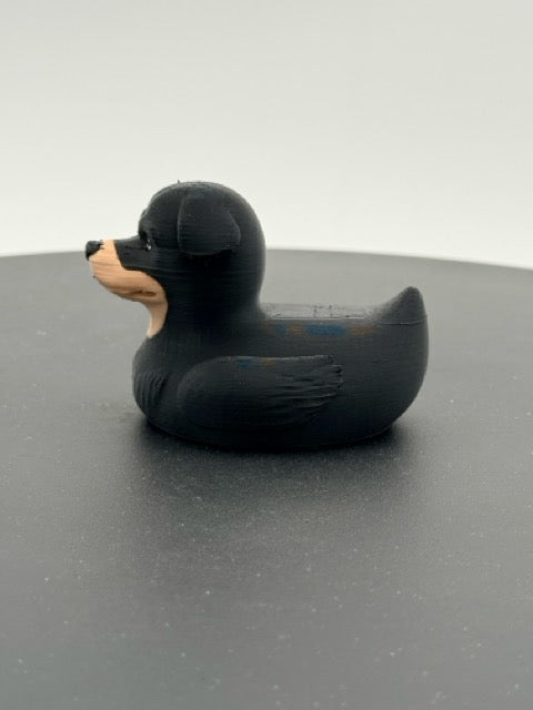 Rottweiler Duck
