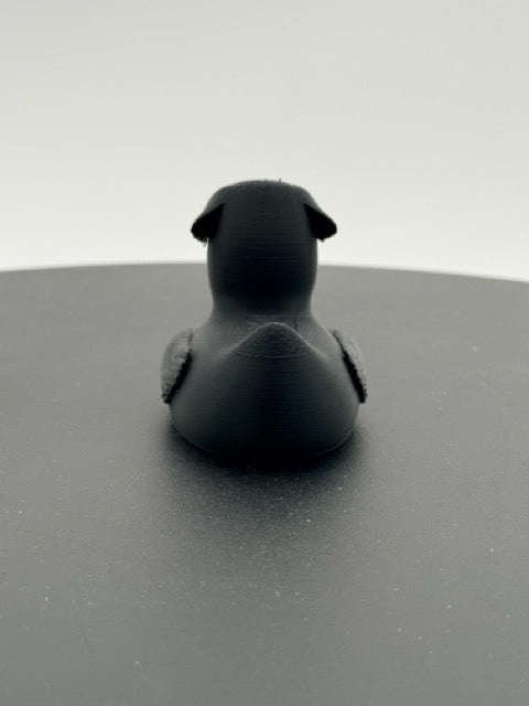 Rottweiler Duck