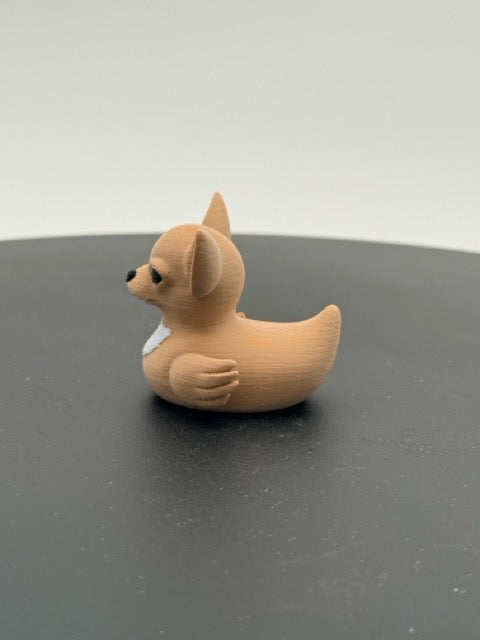 Chihuahua Duck