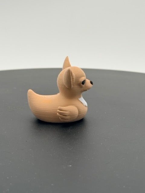 Chihuahua Duck